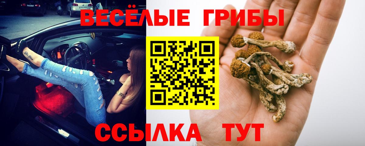 Галлюциногенные грибы мицелий  Вход с VPN  Сердобск  Псилоцибиновые грибы прущие грибы 